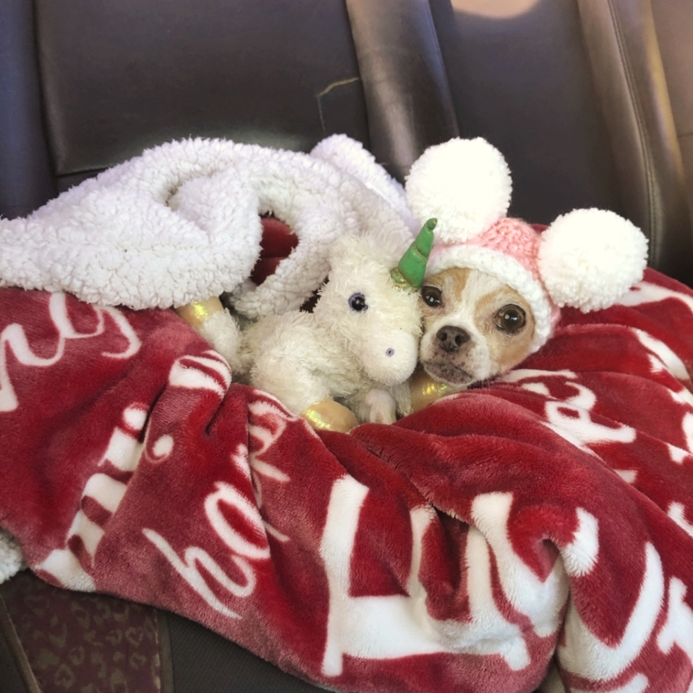 Meet your Posher, Ayen